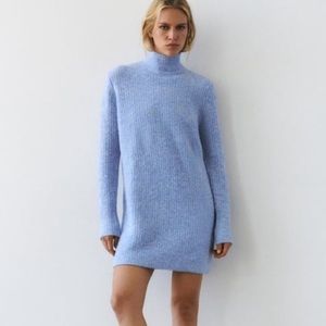 Zara Turtleneck Sweater Dress